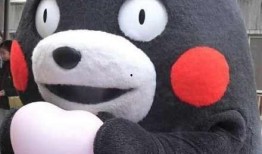 呆呆啊ovo 吃瓜,揭秘网络吃瓜背后的趣味与真相