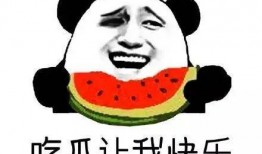 吃瓜群众吃西瓜视频