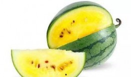 瓜瓜吃瓜作品主题,揭秘娱乐圈幕后真相