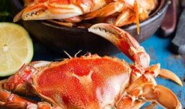 螃蟹吃高瓜吗,探究它们对高瓜的喜爱程度