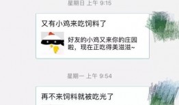吃瓜现场评论文案,揭秘娱乐圈幕后真相