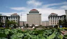 中央财经大学网课吃瓜,揭秘网课中的“吃瓜”事件