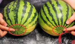 吃瓜购买地址,轻松解锁夏日美味新选择