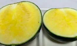 商店吃瓜,尽享夏日清凉——探秘商店里的美味吃瓜时光