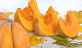 吃瓜听什么音乐,解锁夏日休闲新姿势