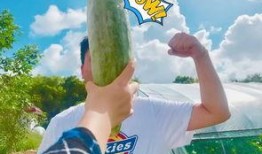 你可以吃瓜,揭秘娱乐圈幕后真相