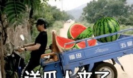 晚上吃瓜俏皮文案,瓜香四溢，一起俏皮吃瓜吧！