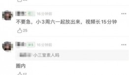 吃瓜律师博主,揭秘娱乐圈法律纠纷背后的真相