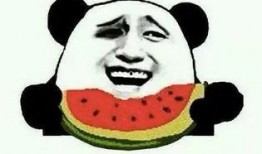 吃瓜群众励志语录,从围观到奋斗的蜕变之路