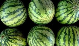 全国吃瓜大省,揭秘瓜香四溢的美食天堂