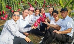 吃瓜观众好热情,热议娱乐圈风云