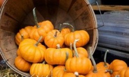 女人吃红瓜的好处,女性养生佳品，美容养颜的秘密武器