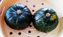 春天吃贝贝瓜好吗