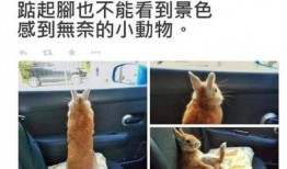 妖怪吃瓜吃自己身上,吃瓜吃到自己身上的奇幻奇谈