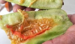 酥瓜煮着吃,传统美食的养生之道