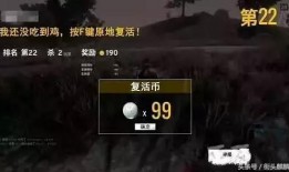 吃鸡瓜怎么弄,轻松学会在家自制美味吃鸡瓜