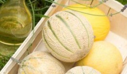 立秋后吃那三瓜,三瓜助你健康度秋