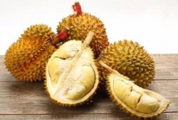 吃榴莲如何开瓜,轻松解锁美味之旅