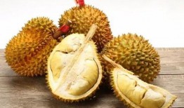 吃榴莲如何开瓜,轻松解锁美味之旅