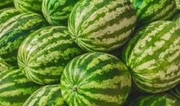 每日吃瓜大赛校园吃瓜,每日瓜香四溢，青春活力无限