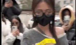 午夜吃瓜爆料视频,揭秘娱乐圈最新爆料视频背后的真相