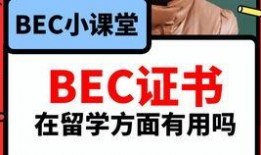 真实吃瓜爆料视频下载,一场真实爆料引发的下载狂潮