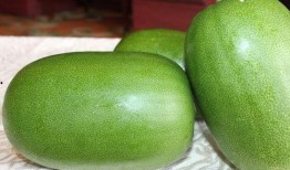 吃瓜男的手机,隐私泄露还是娱乐狂欢？