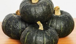 春天吃贝贝瓜好吗