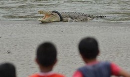 吃瓜霸王男,吃瓜霸王男生揭秘校园八卦传奇