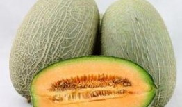 吃哈密瓜起疹子,甜蜜诱惑背后的肌肤警示