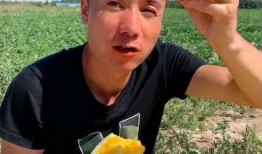 父母吃瓜的样子,欢乐与温馨的瞬间