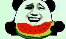 吃瓜师范,揭秘校园里的那些“瓜”