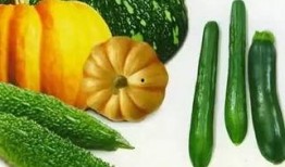 阜阳翰林府吃瓜,一场别开生面的“吃瓜”盛宴