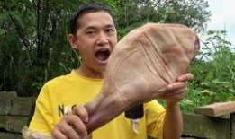 刘大瓜吃,揭秘娱乐圈的美食诱惑与明星们的饮食生活