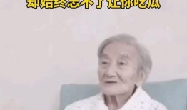 吃瓜自由歌曲,揭秘网络时代下的娱乐狂欢与理性思考