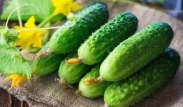 两头吃瓜,揭秘网络热词背后的趣味与智慧