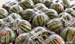 衢州疗休养吃瓜,瓜果飘香中的养生之旅