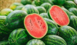 吃瓜吃瓜怎么打出来,揭秘“吃瓜吃瓜”背后的趣味与智慧