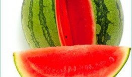 重感冒可以吃瓜吗,吃瓜真的可行吗？