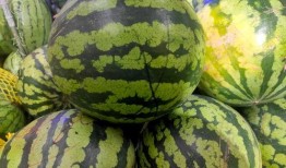 食堂吃瓜为啥火了,揭秘校园生活新潮流