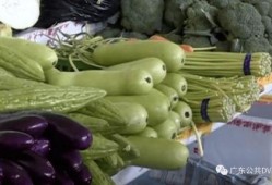 河北吃瓜中毒,揭秘夏日消暑美食背后的风险