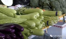 河北吃瓜中毒,揭秘夏日消暑美食背后的风险