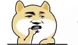 呆呆啊ovo 吃瓜,揭秘网络吃瓜背后的趣味与真相