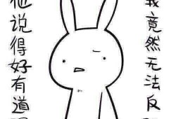 奇葩告示带你吃瓜,吃瓜群众围观“告示风云”