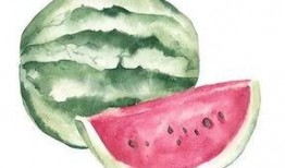 吃瓜头饰,时尚潮流中的趣味与智慧