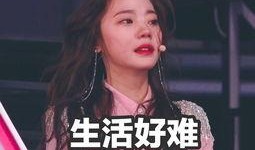 深夜吃瓜律师,揭秘法律界的幕后故事