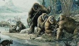 吃瓜线报猿,网络舆论背后的神秘力量