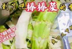 徐师傅吃瓜英语,吃瓜英语的趣味探索