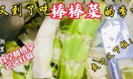 徐师傅吃瓜英语,吃瓜英语的趣味探索