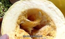 别人用刀切瓜给我吃,共享美食的温馨瞬间